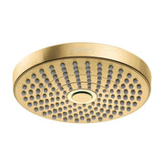 Brushed gold round shower head with multiple spray jets arranged in concentric circles.