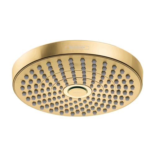 Brushed gold round shower head with multiple spray jets arranged in concentric circles.