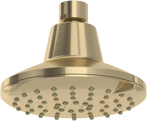 Antique gold 5-inch showerhead with tapered cylindrical body and perforated spray face with multiple jets.
