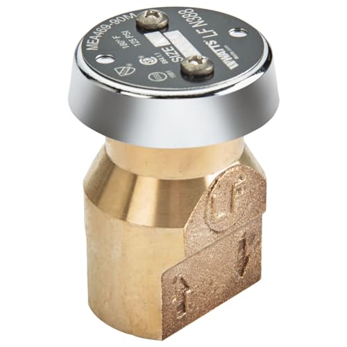 Brass vacuum breaker with gray metal cap and two mounting screws on top.