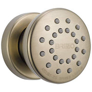 Brizo Universal Showering Touch-Clean Round Body Spray