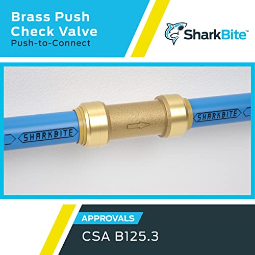 Brass push-to-connect in-line check valve with 1" connections and blue tubing attached.