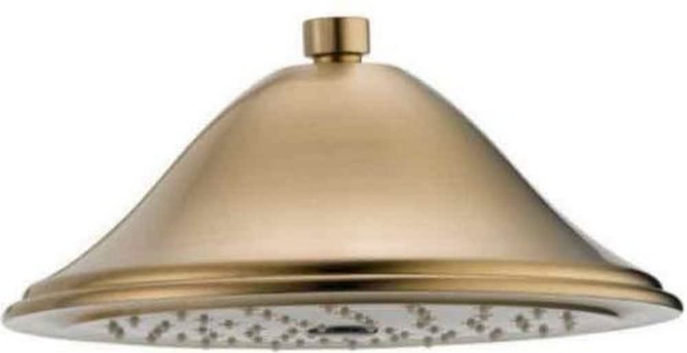 Champagne bronze raincan shower head with wide dome-shaped face and single spray setting.