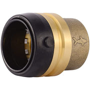 Brass push-to-connect end cap fitting with black and tan components, 1-1/4 inch diameter.