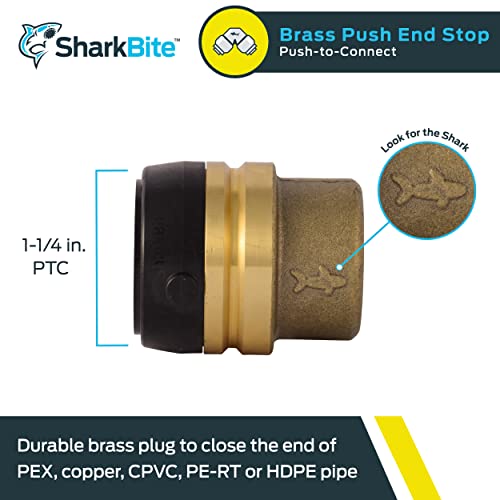 Brass push-to-connect end cap fitting, 1-1/4 inch size, with black grip ring and shark mark detail.