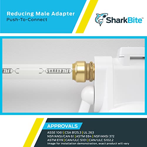 Brass push-to-connect male adapter fitting with threaded connection shown installed on white tubing.
