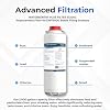 Elkay 51300C WaterSentry Lead + Microplastics Filter for Bottle Fillers - 12 Pack