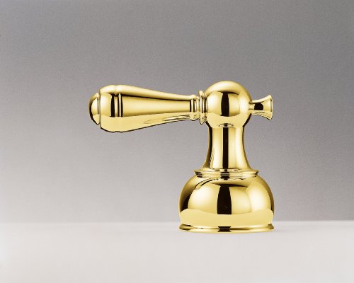 Polished brass metal lever handle with tapered design and decorative base mount.
