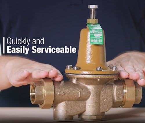 Brass RPZ backflow preventer with 1-1/4 inch threaded ports, adjustment screw on top, and green label.