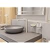 Hansgrohe 41755820 AddStoris Double hook in Brushed Nickel
