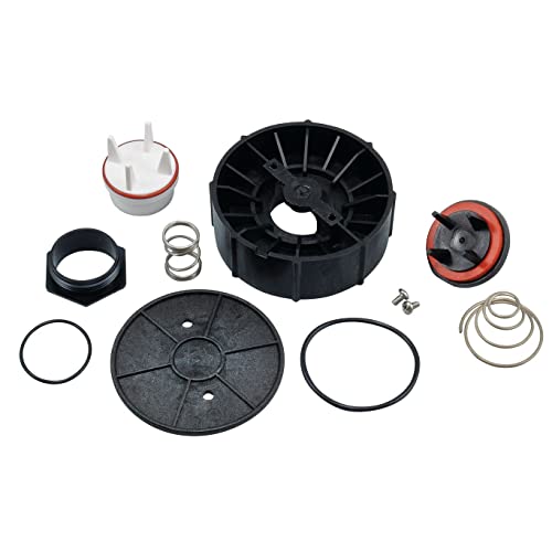 Pressure vacuum breaker repair kit with black plastic components, white and red cartridge, metal springs, and rubber seals ar