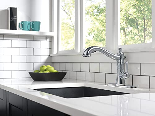 Chrome single-handle kitchen faucet with curved spout mounted above white countertop sink.