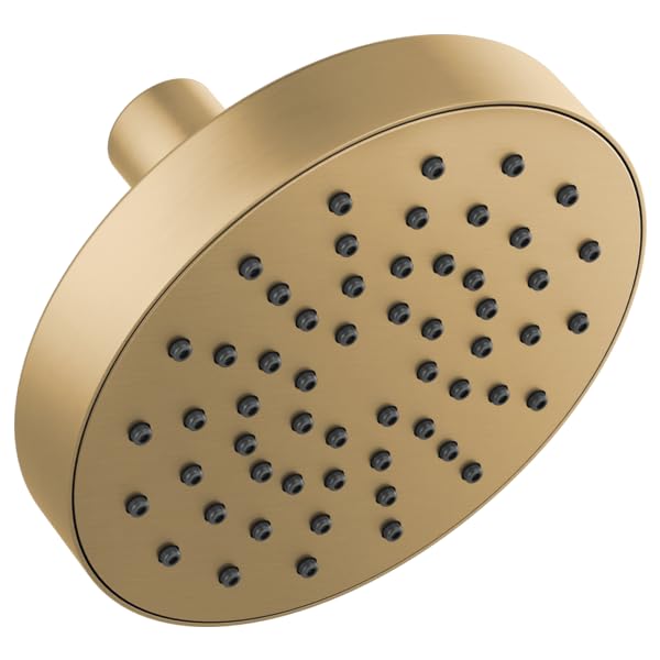 Round brass shower head with multiple spray holes and wall-mounted arm on white background.