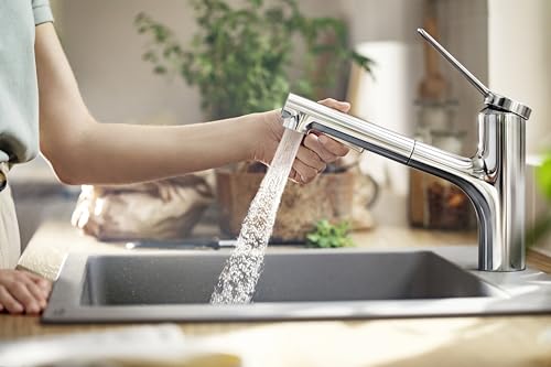 Hansgrohe 74800001 Zesis Kitchen Faucet 2-Spray, Pull-Out, 1.75 GPM in Chrome