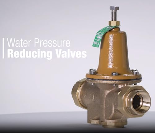 Brass RPZ backflow preventer with bronze body, threaded ports, and brass adjustment cap with green label.