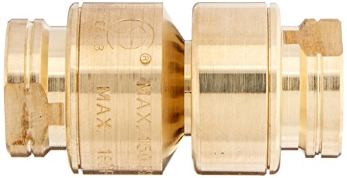 Brass dual check vacuum breaker with threaded female connections on both ends, 3/8 inch size.