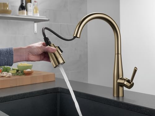 Delta Essa Essa Single Handle Pull-Down Kitchen Faucet in Champagne Bronze - 9113-CZ-DST