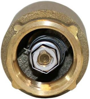 Brass check valve with 3/4 inch threaded connection and hexagonal internal valve mechanism, viewed from end opening.