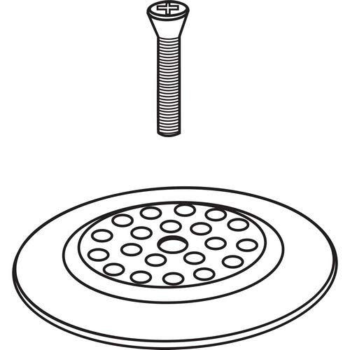 Dome strainer with threaded screw post and perforated drainage holes in polished brass finish.