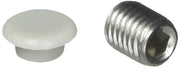 Stainless steel set screw with hexagonal socket and white plastic cap button.