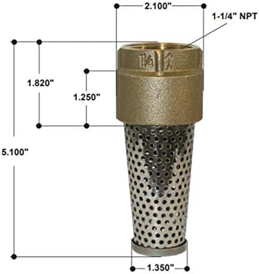 Merrill 710 Series 1-1/4 in. Brass Foot Valve - FVNL125
