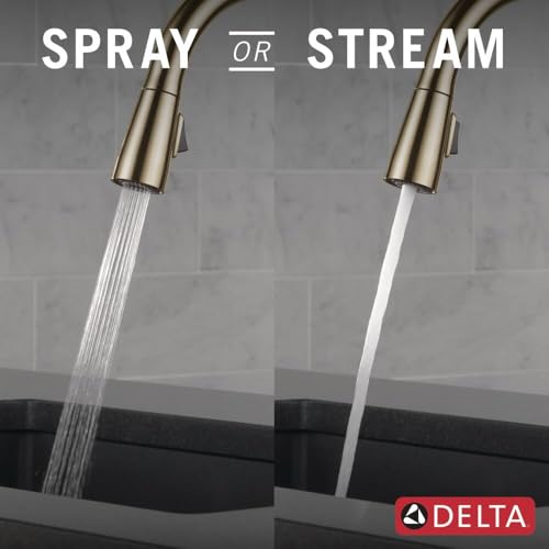 Delta Essa Essa Single Handle Pull-Down Kitchen Faucet in Champagne Bronze - 9113-CZ-DST