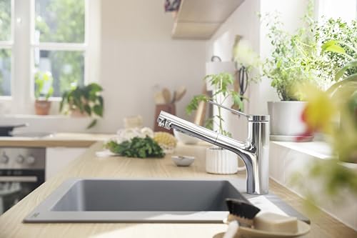 Hansgrohe 74800001 Zesis Kitchen Faucet 2-Spray, Pull-Out, 1.75 GPM in Chrome