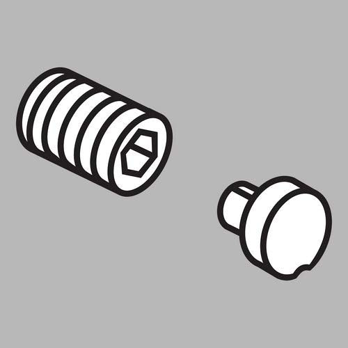 Stainless steel set screw with hexagonal slot and matching round button cover shown separately.