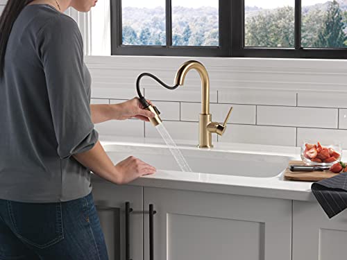 Gold single-handle pull-down faucet with black spray wand extended over white kitchen sink.