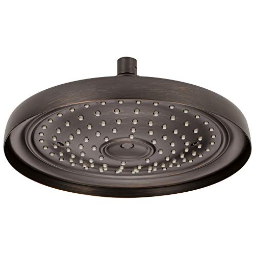 Dark bronze round raincan shower head with multiple spray holes and center connection port.