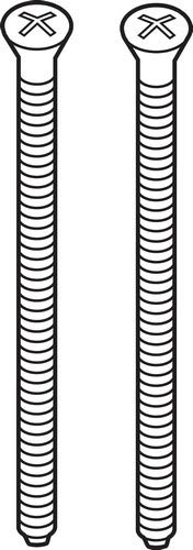 Two champagne bronze escutcheon screws with cross-slot heads and ribbed shafts.