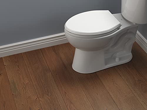 White elongated toilet seat with slow-close lid and chrome hinges on white porcelain bowl.