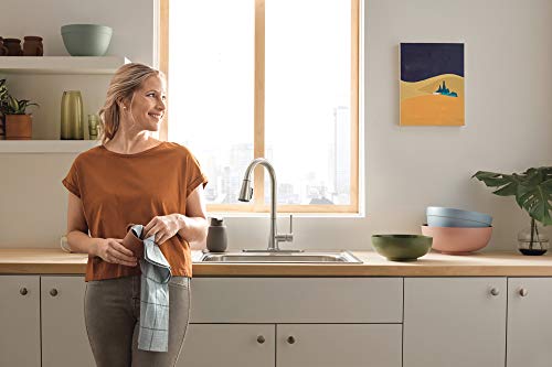 Stainless steel single-handle pull-down kitchen faucet installed above white sink in light wood countertop.