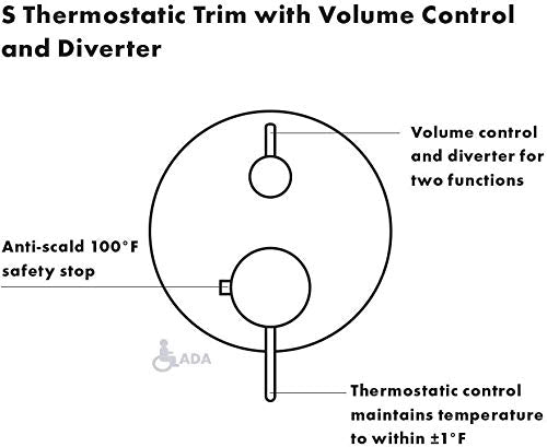 Chrome thermostatic trim with upper volume control lever and lower temperature control lever on circular escutcheon plate.