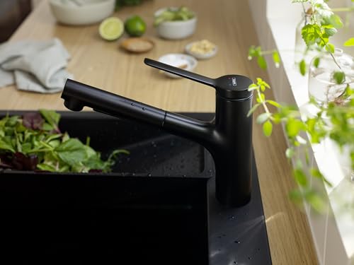 Matte black pull-out kitchen faucet with single handle mounted on countertop sink.