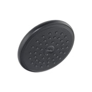 Round raincan shower head in dark bronze finish with multiple spray nozzles.