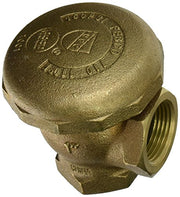 Bronze atmospheric vacuum breaker with threaded outlet connection and embossed manufacturer markings on dome top.