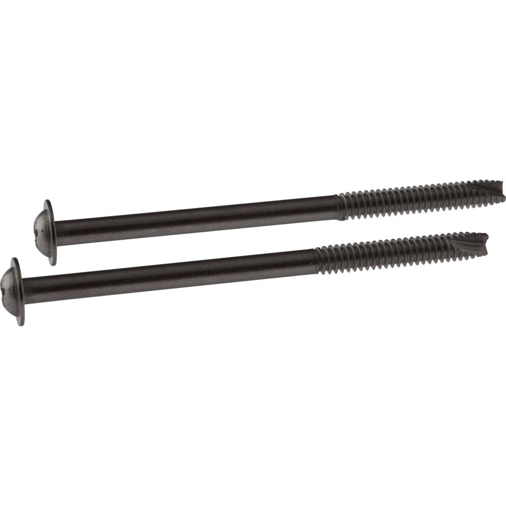 Two chrome-finish screws with flat heads and threaded shafts.