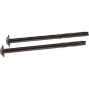 Two chrome-finish screws with flat heads and threaded shafts.