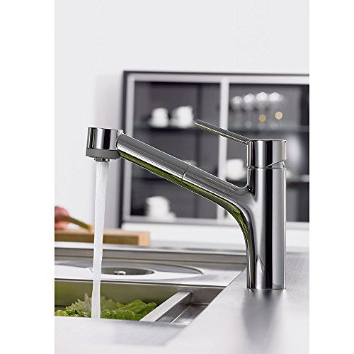 Hansgrohe 06462860 Talis S Kitchen Faucet, 2-Spray Pull-Out, 1.75 GPM in Steel Optic