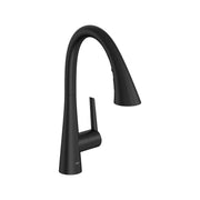 Matte black pull-down kitchen faucet with curved spout and single lever handle.