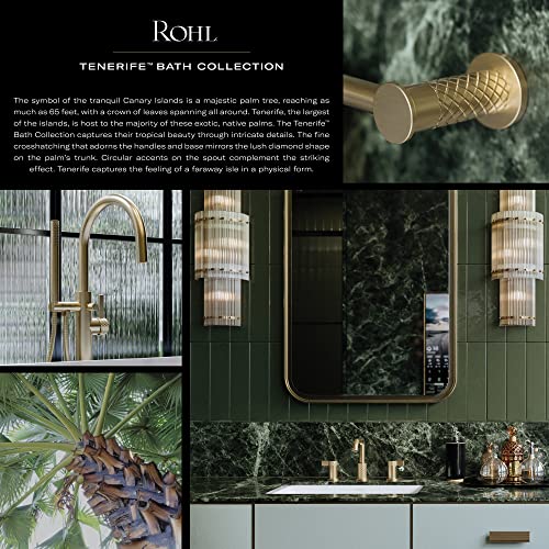 Rohl Handshower Set With 31" Slide Bar and Single Function Handshower in Antique Gold - 0126SBHS1AG