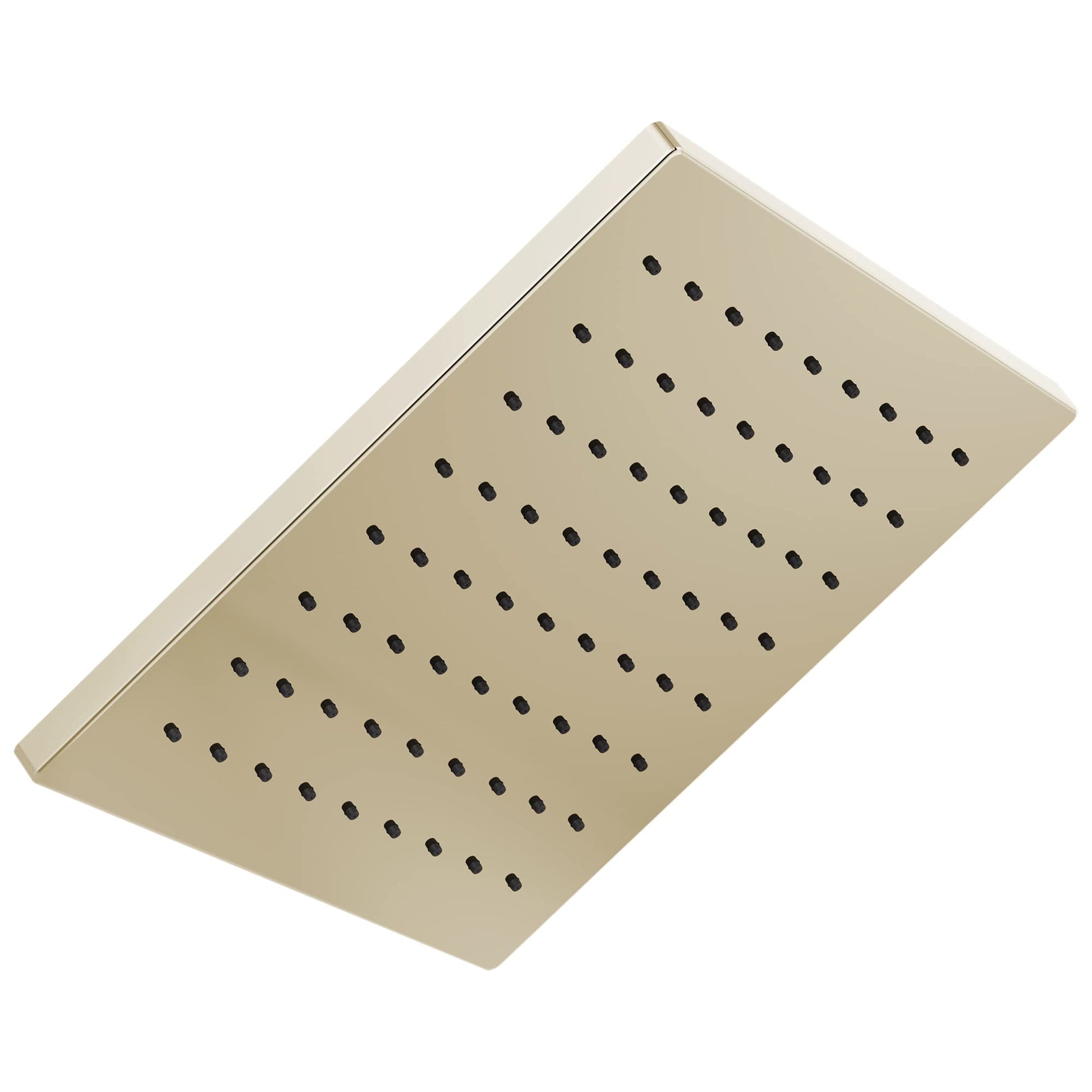 Square metal raincan shower head in champagne finish with multiple water outlet holes.