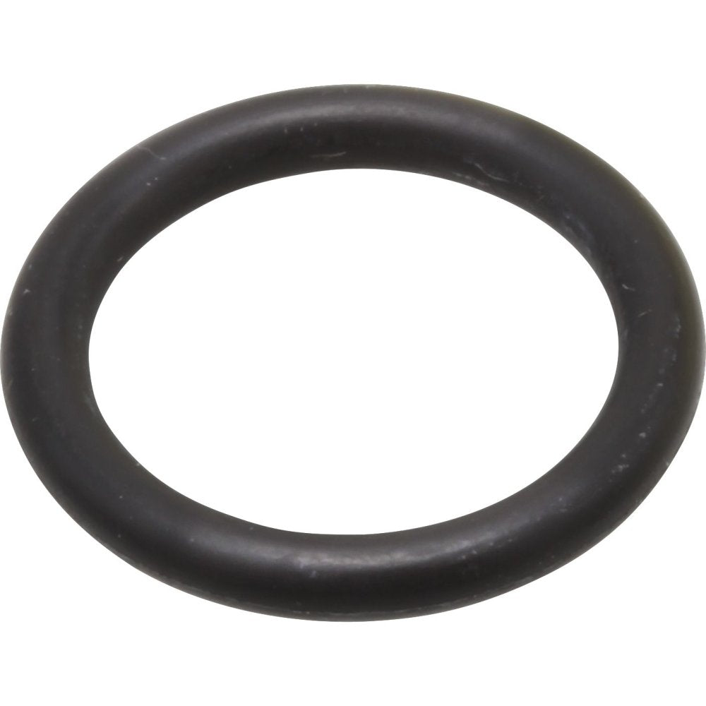 Black rubber o-ring with smooth surface and circular shape.