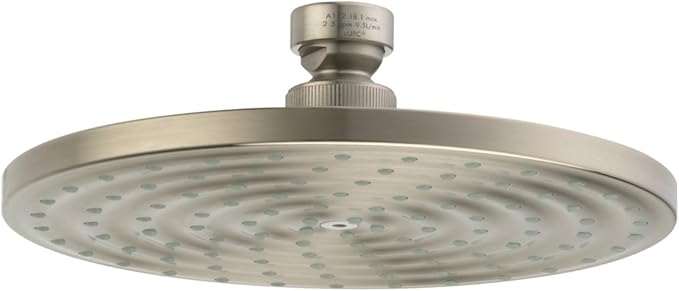 Brushed nickel circular shower head with multiple spray holes and ceiling mount connector.