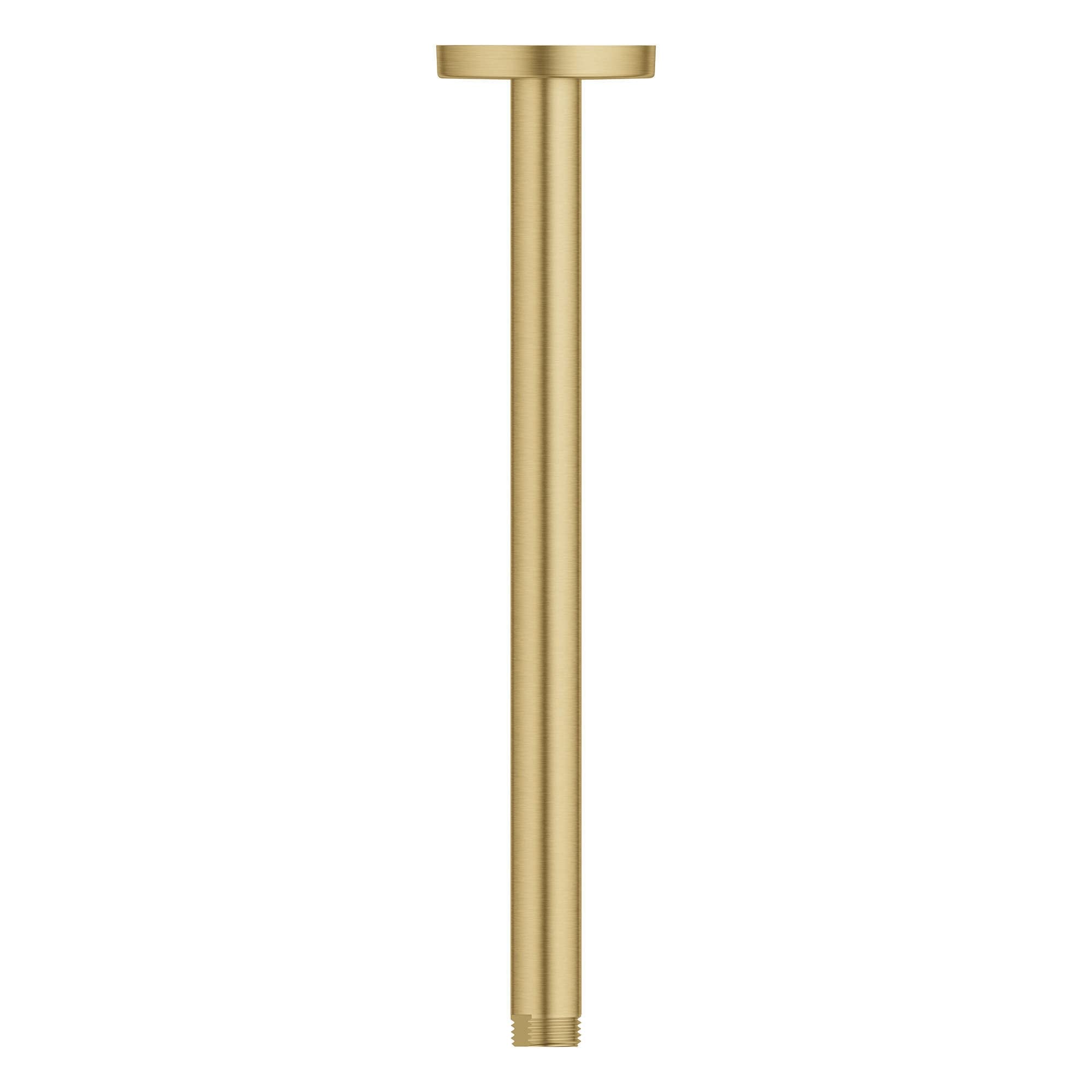 Vertical brushed gold shower arm with circular mounting plate at top and threaded connection at bottom.