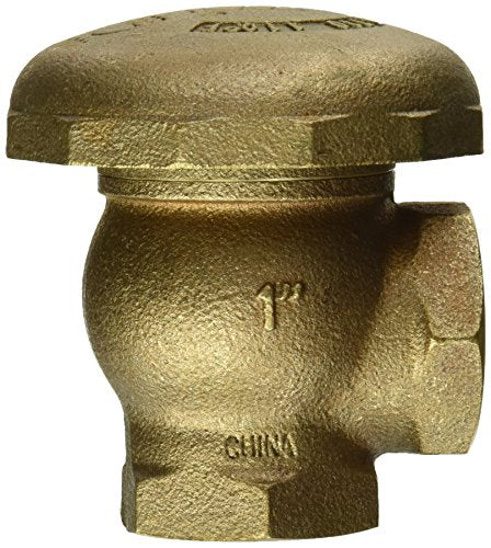 Bronze atmospheric vacuum breaker with dome cap and side outlet connection.