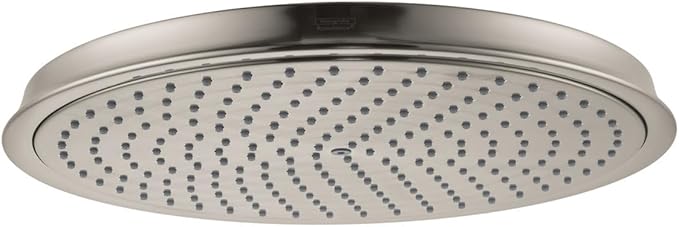 Brushed nickel circular shower head with perforated spray face and mounted rim.