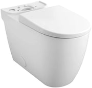 White elongated toilet bowl with white closed seat and mounting holes visible on top.