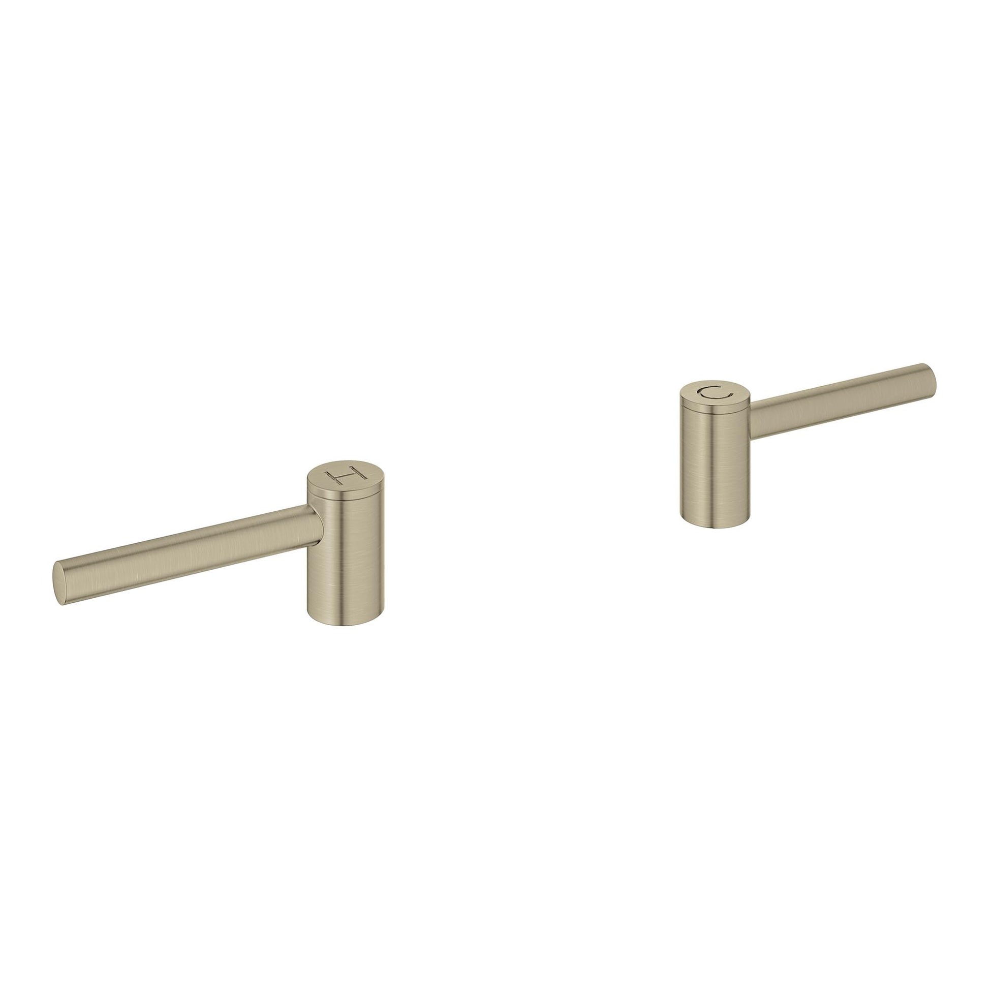 Pair of brushed nickel cylindrical lever handles with horizontal bars extending from central posts.